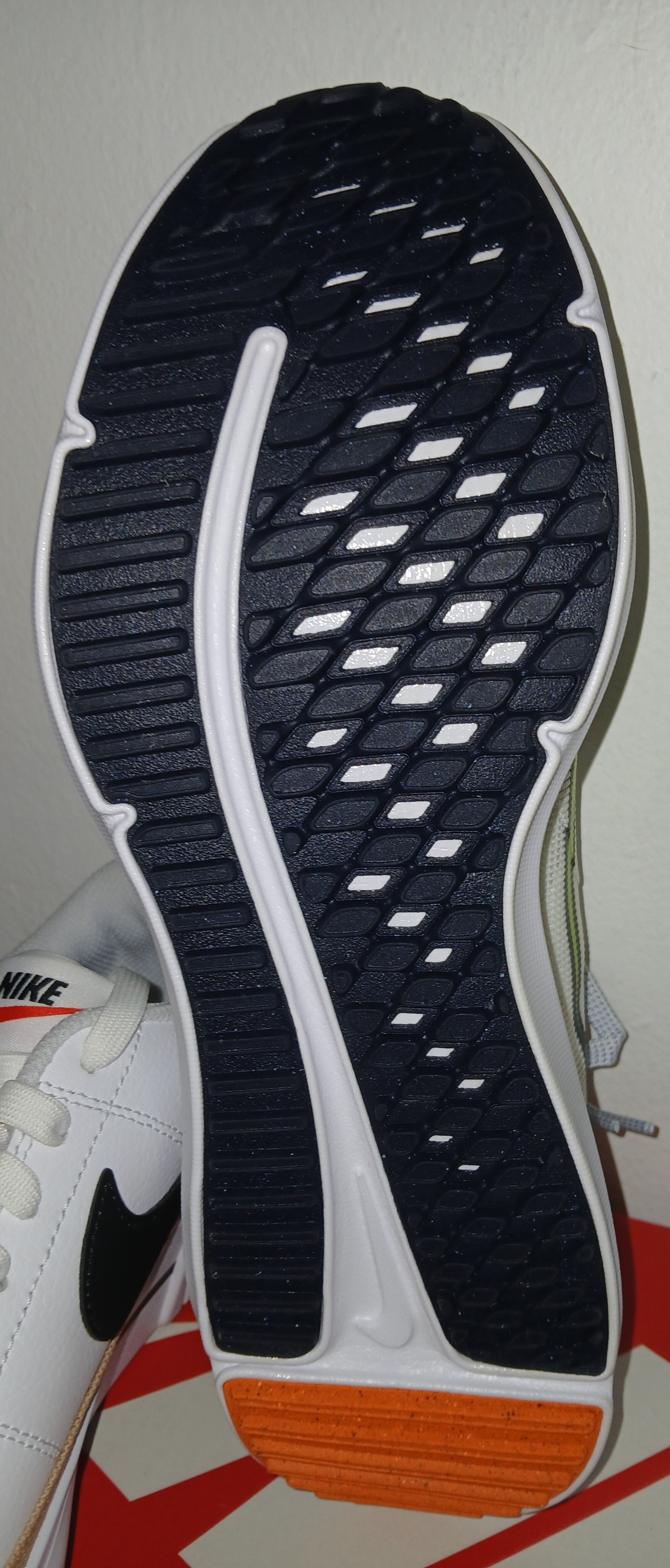 W Nike Downshifter 12